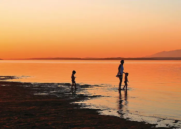 1 Bedroom Lovely In Apartment *